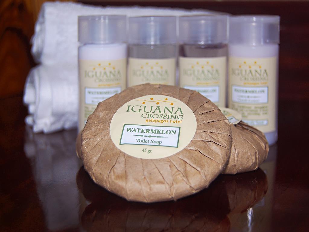 Iguana Crossing Boutique Hotel 比亚米尔港 客房 照片